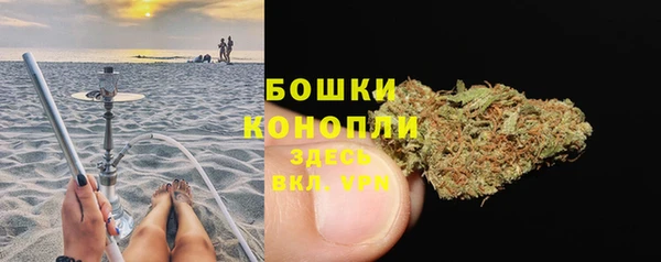 сатива Наволоки